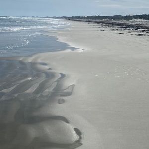 Meet your Posher, Jessie